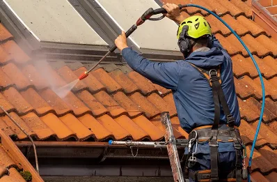Démoussage et hydrofuge de toiture à Savas